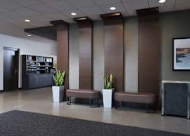 Tulyp, Tapestry Collection by Hilton 5