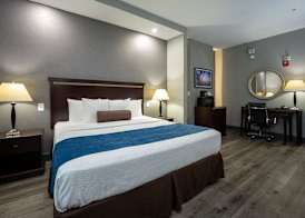 Comfort Suites Seabrook - La Porte - Kemah 4