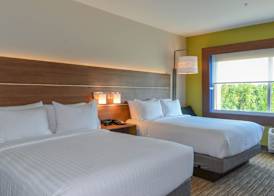 Holiday Inn Express & Suites RALEIGH AIRPORT - BRIER CREEK by IHG 3