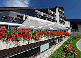 Terme Olimia - Hotel Breza 3
