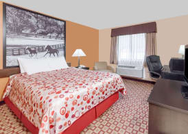 Super 8 South by Wyndham 5
