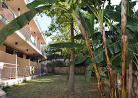 Apollon Hotel 5