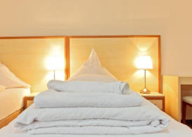 Hotel Ganita Weil am Rhein 5