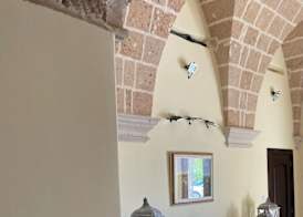 Tenuta Gli Agrumi del Salento 3