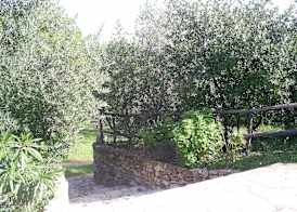 Residence Gli Stingi 4