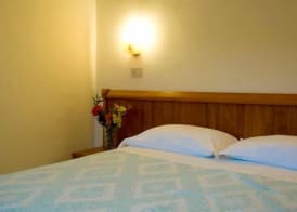 Hotel Viola 5