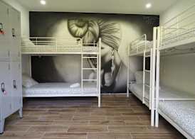 The Macarena Beach Hostel 2