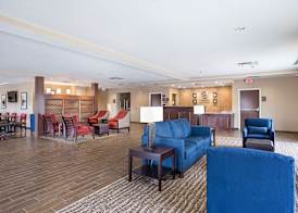 Comfort Inn & Suites Zachary 5