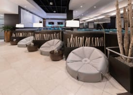 Crowne Plaza Toronto North York by IHG 4
