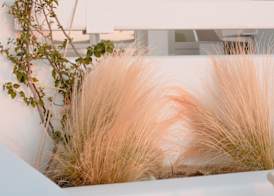 Mon Signor Adults Only Hotel - Kamari Santorini 5