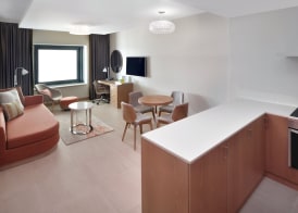 Holiday Inn & Suites DUBAI FESTIVAL CITY by IHG 4