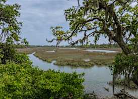 Hampton Inn Beaufort 2
