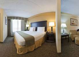 Holiday Inn Express & Suites DALLAS FT. WORTH AIRPORT SOUTH by IHG 4