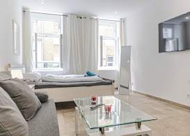 Stylish 1BR Studio In Central Vienna 5