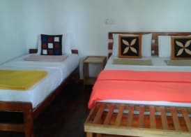 Ella nature nest 4