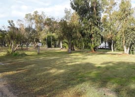 Camping la Naranja 4
