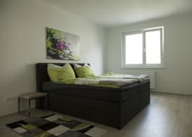 Viennaflats - Apartment Prater 4