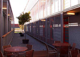 Orange Wings Krems 4
