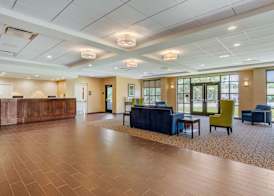 Comfort Inn & Suites Florence Center Area 4