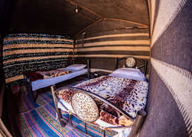 Martian Desert Camp 4