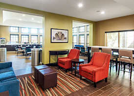 Comfort Suites NW Dallas Near Love Field 4