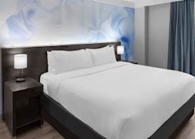 Four Points by Sheraton New York Downtown 5
