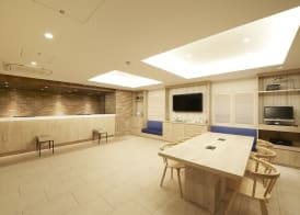 Sotetsu Fresa Inn Ginza Sanchome 2