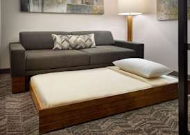 SpringHill Suites by Marriott Arlington TN 4