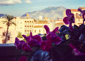 LeAlbe di Sicilia 4