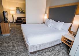 Springhill Suites by Marriott Winston-Salem Hanes Mall 2