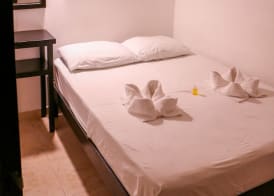 Hostal Gayser 4