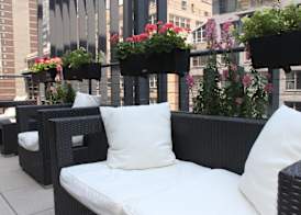 The Historic Blue Angel Hotel Lexington Ave, an Ascend Collection 4