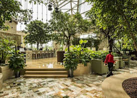 InterContinental Hotels CHENGDU GLOBAL CENTER by IHG 3