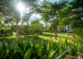Pinnacle Grand Jomtien Resort and Beach Club 5