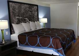 Super 8 by Wyndham Asheville/Biltmore 4