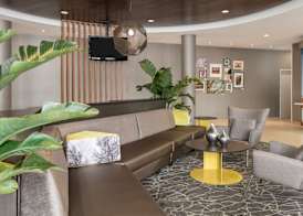 SpringHill Suites by Marriott Lafayette South at River Ranch 2