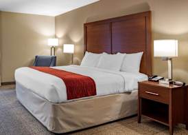 Comfort Inn Biltmore West 5