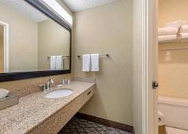 Clarion Hotel Anaheim Resort 5