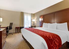 Comfort Inn & Suites Macon West 5