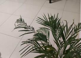 La Veranda Hotel 2