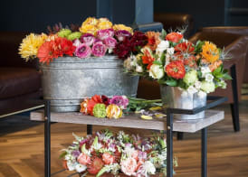 The Darcy Hotel, Washington DC 4