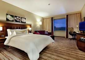 Hilton Garden Inn Mardin 4