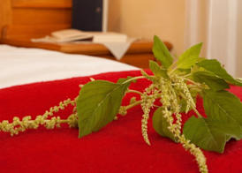 Landhotel Bayerwald 4