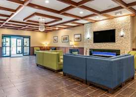 Comfort Suites Grand Rapids North 3