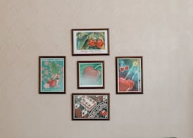 Bayshore Resort 4