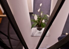 Hotel Concordia 5