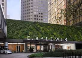 C. Baldwin, Curio Collection by Hilton 2