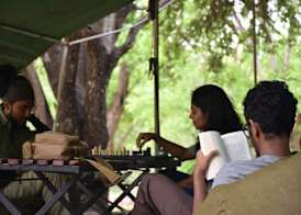Big Game Yala - by Eco Team 2