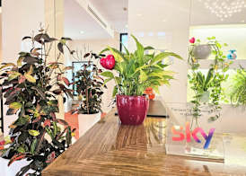Hotel Campion CityLife 4