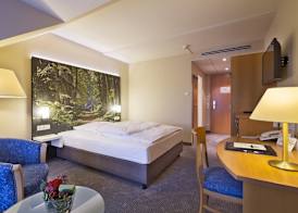 Erikson Hotel 4